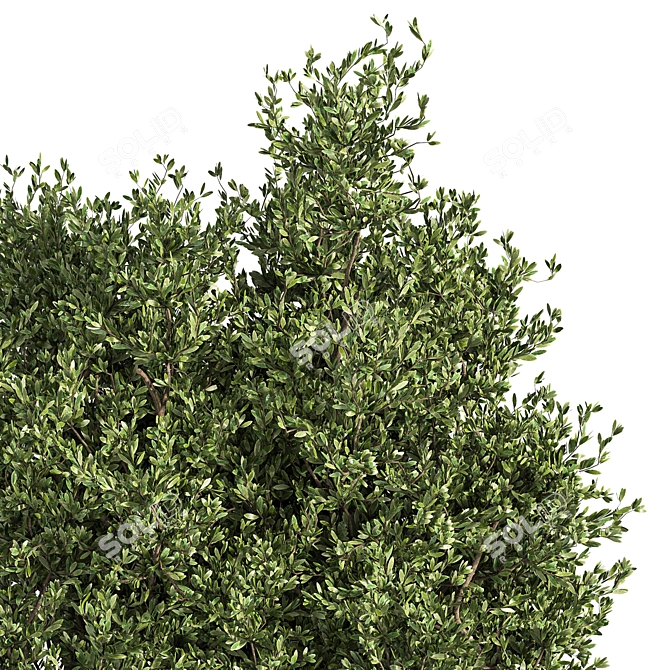 Metal Box Outdoor Tree Plant 3D model image 4