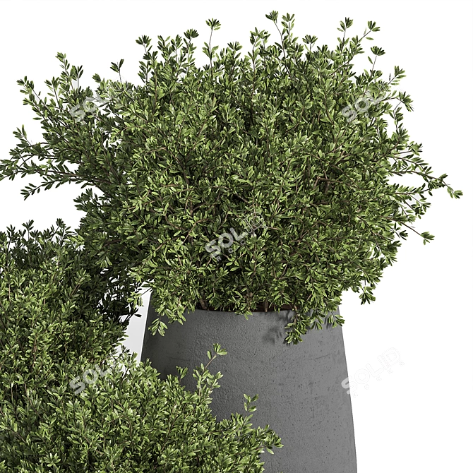 Outdoor Tree 05: Lifelike and Beautiful 3D model image 3