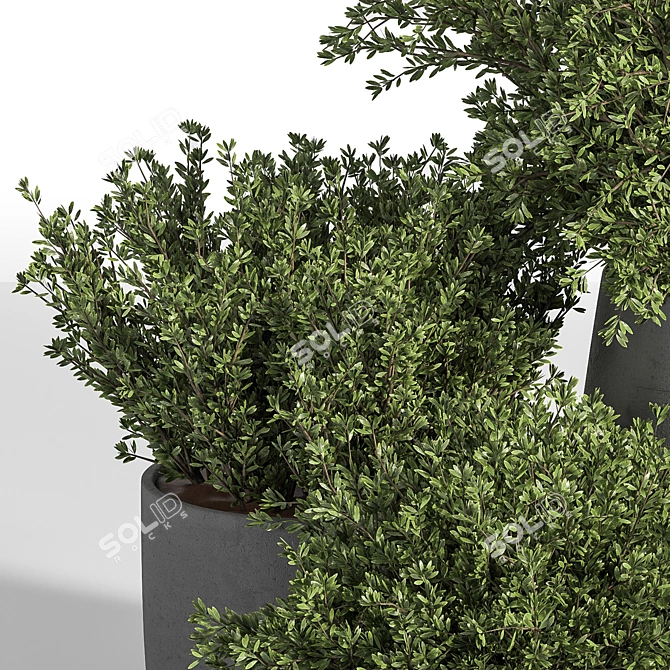 Outdoor Tree 05: Lifelike and Beautiful 3D model image 4
