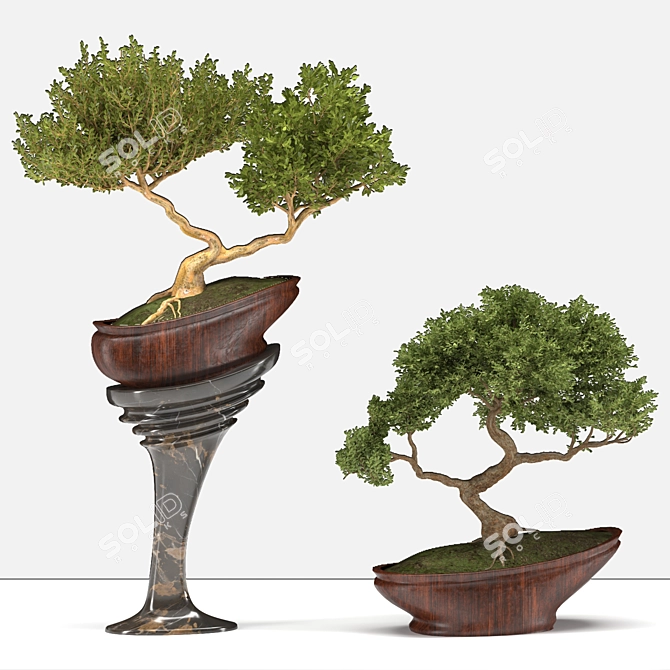 Bonsai03: Miniature Zen Garden 3D model image 1