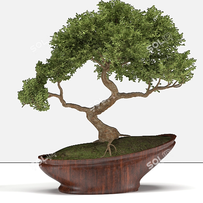 Bonsai03: Miniature Zen Garden 3D model image 2