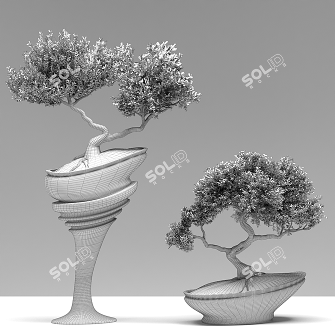 Bonsai03: Miniature Zen Garden 3D model image 3