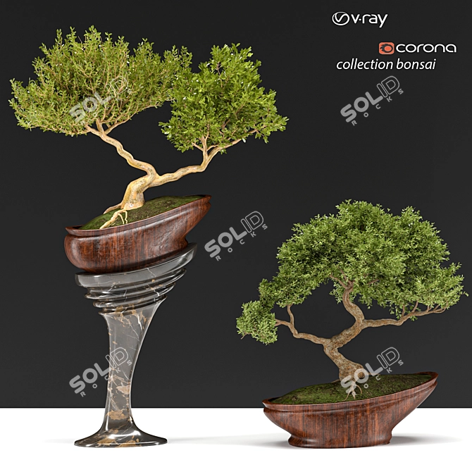 Bonsai03: Miniature Zen Garden 3D model image 4