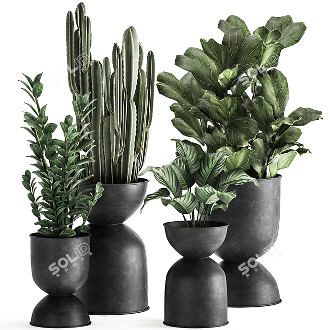 Tropical Plant Collection: Exotic Ficus, Cactus, and Zamioculcas in Stylish Black Pots 3D model image 1