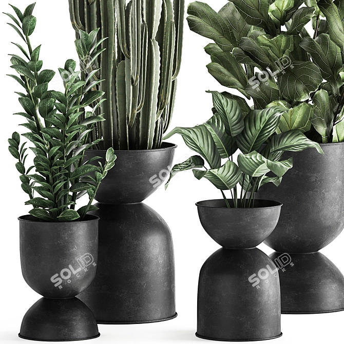 Tropical Plant Collection: Exotic Ficus, Cactus, and Zamioculcas in Stylish Black Pots 3D model image 2
