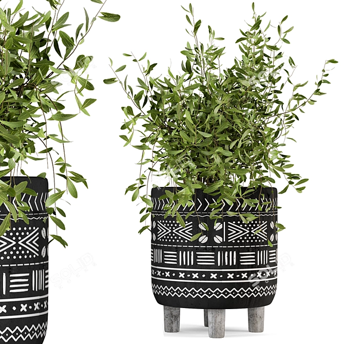 African Pattern Indoor Plants - Set 83 3D model image 2