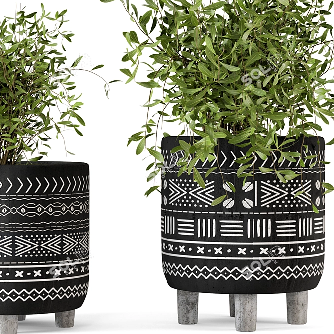 African Pattern Indoor Plants - Set 83 3D model image 3