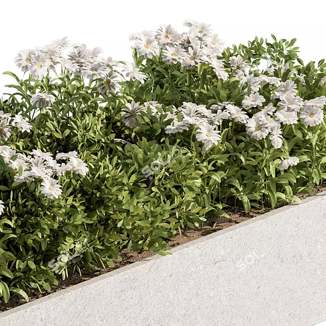 Beautiful White Flower Bush Set 3D model image 3