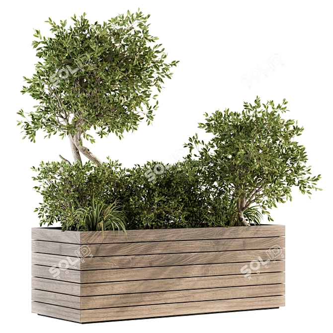 Nature's Haven Outdoor Plant Set 3D model image 1