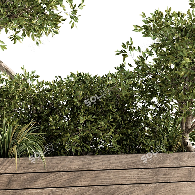 Nature's Haven Outdoor Plant Set 3D model image 4