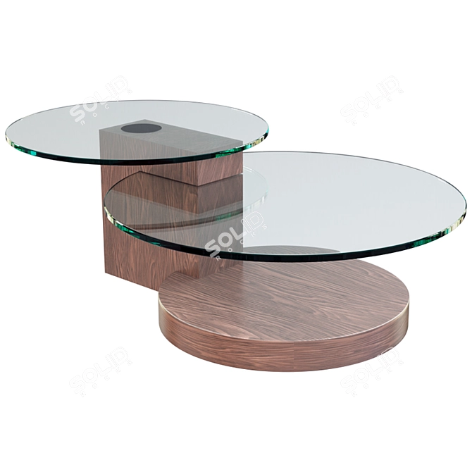 Designer Walnut Coffee Table 3D model image 1