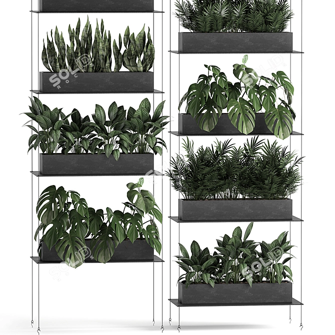 Vertical Greenery: Exotic Plants, Stylish Shelving 3D model image 2