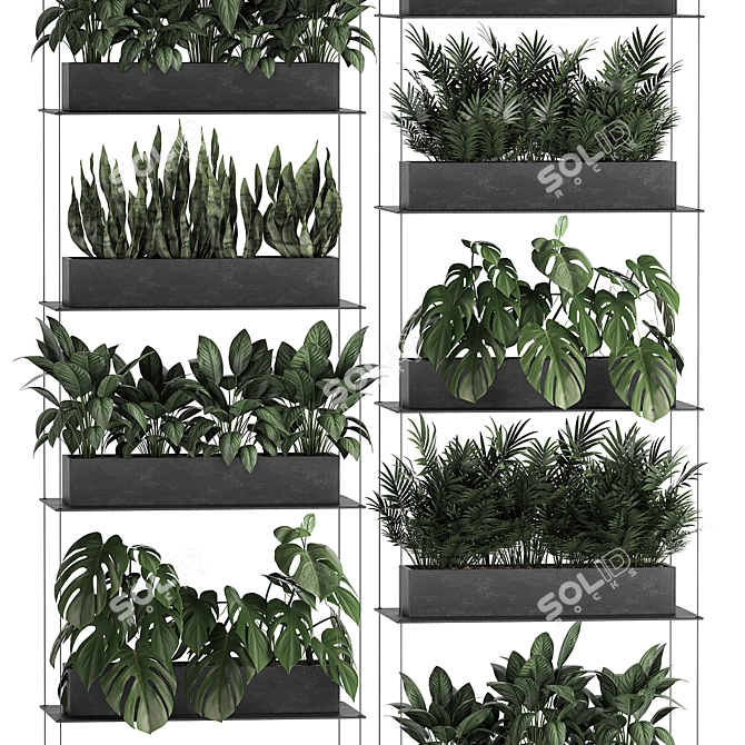 Vertical Greenery: Exotic Plants, Stylish Shelving 3D model image 3