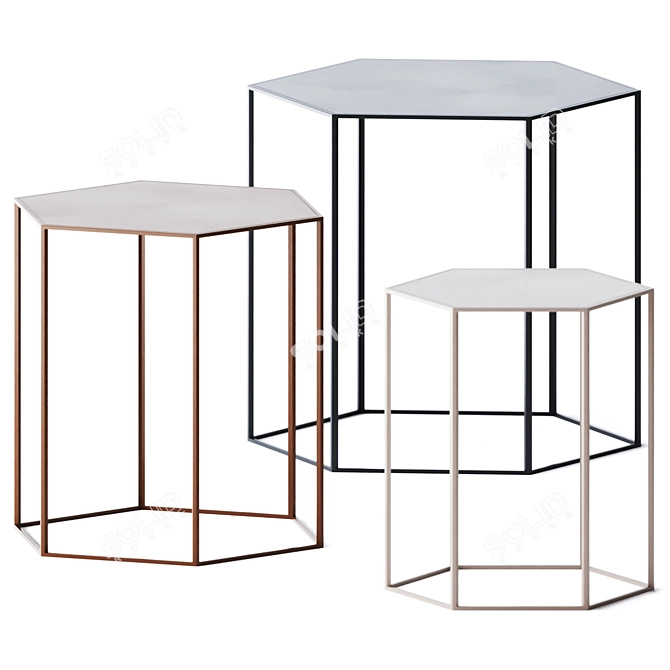 Hexagon Side Tables by Desalto 3D model image 1