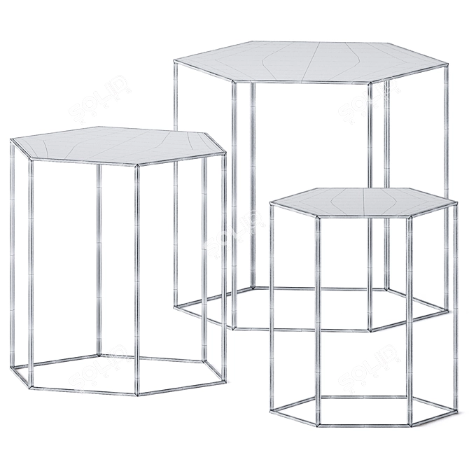 Hexagon Side Tables by Desalto 3D model image 2