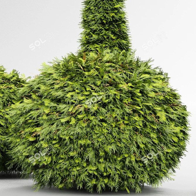 Golden Globe Dwarf Thuja: Evergreen Shrubs for Stunning Landscapes 3D model image 3