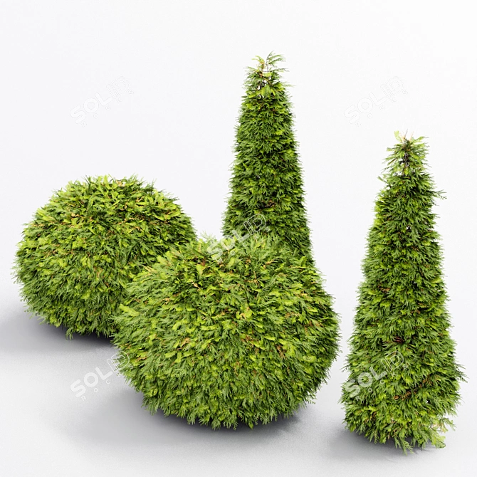 Golden Globe Dwarf Thuja: Evergreen Shrubs for Stunning Landscapes 3D model image 4