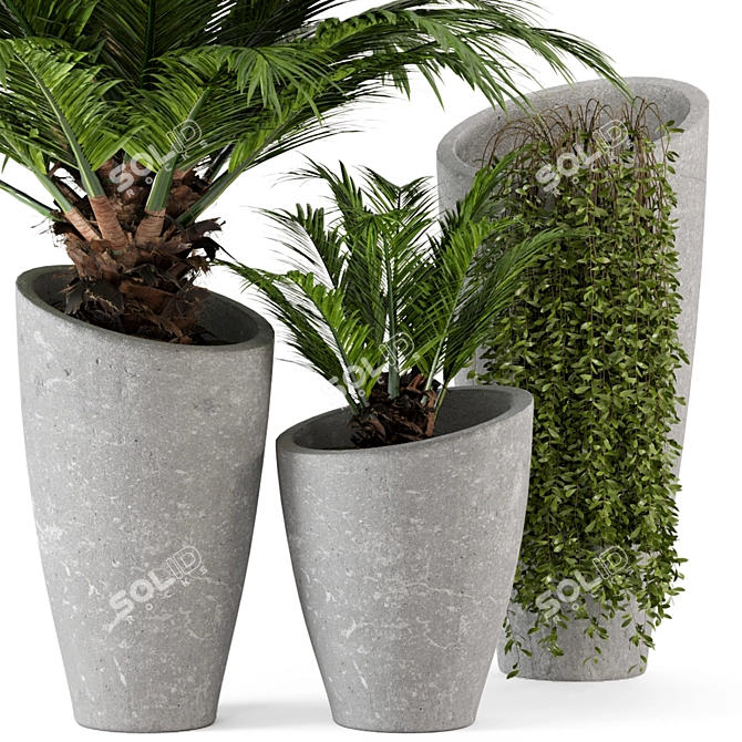 Rusty Concrete Pot Outdoor Plants 3D model image 3