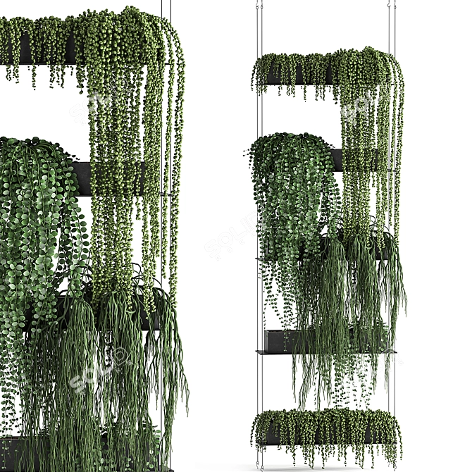 Vertical Garden Kit: Indoor Exotic Succulents & Cascading Plants 3D model image 1