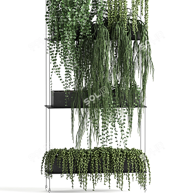 Vertical Garden Kit: Indoor Exotic Succulents & Cascading Plants 3D model image 2