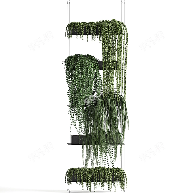 Vertical Garden Kit: Indoor Exotic Succulents & Cascading Plants 3D model image 4