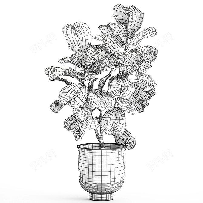 Tropical Exotic Plant Collection 3D model image 5