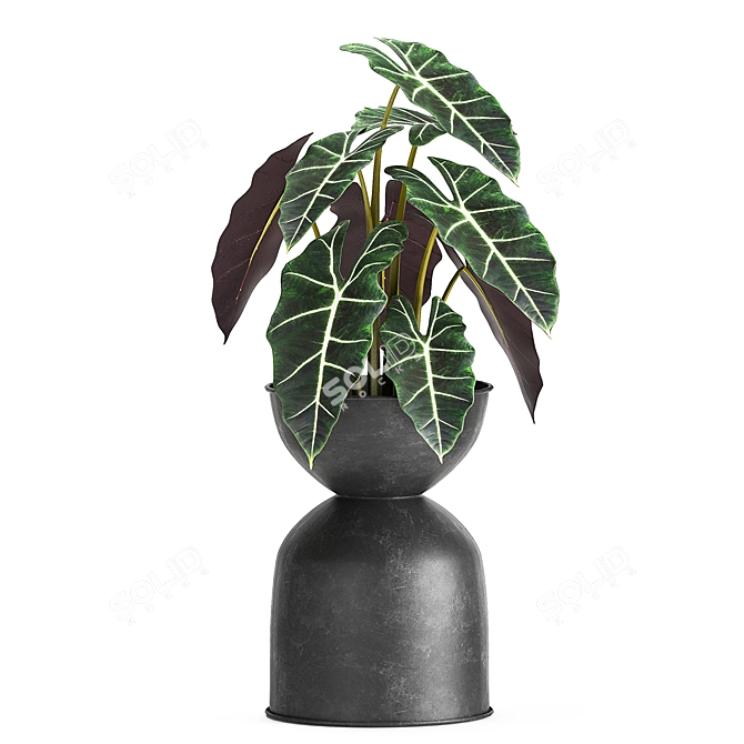 Tropical Oasis Plant Collection 3D model image 3