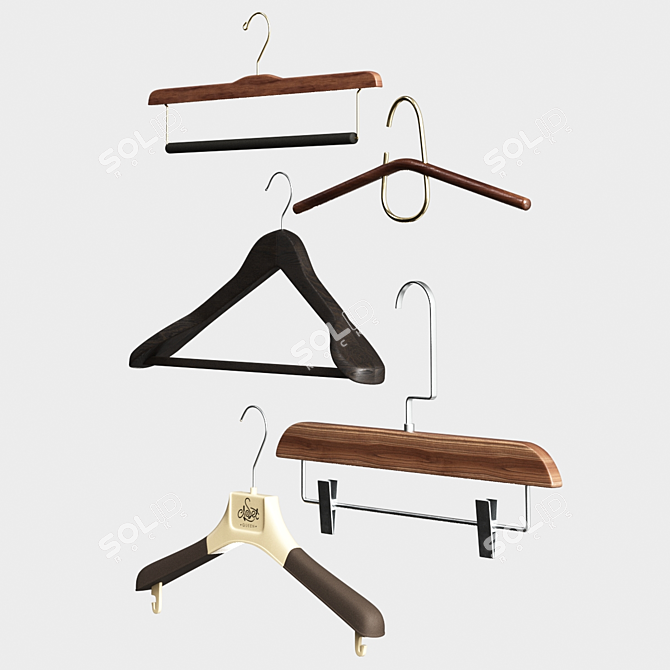Premium Set of 5 Hangers 3D model image 2