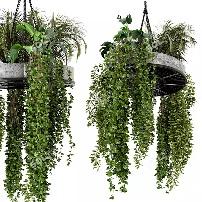 Metal Box Hanging Plants - Set of 86 3D model image 1