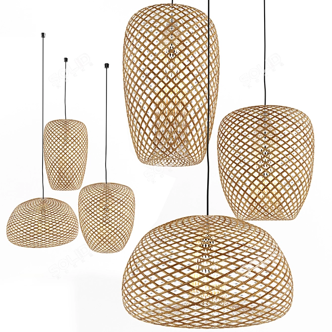 Bamboo Rattan Lantern: Exquisite Lighting for Any Setting 3D model image 1