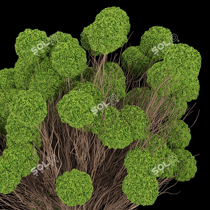  Versatile Plant Collection, Vol. 130 3D model image 2