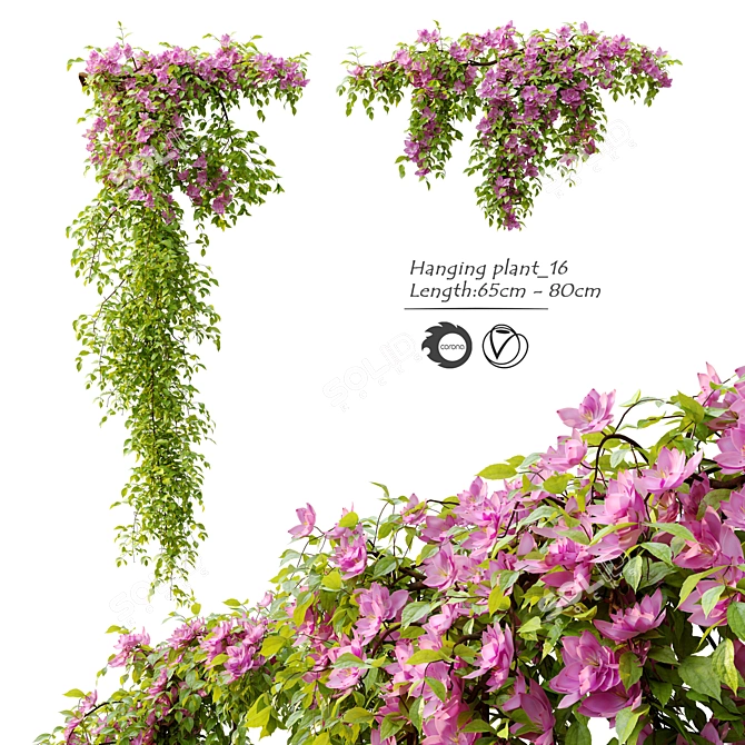 Double Hanging Plant Set 3D model image 1