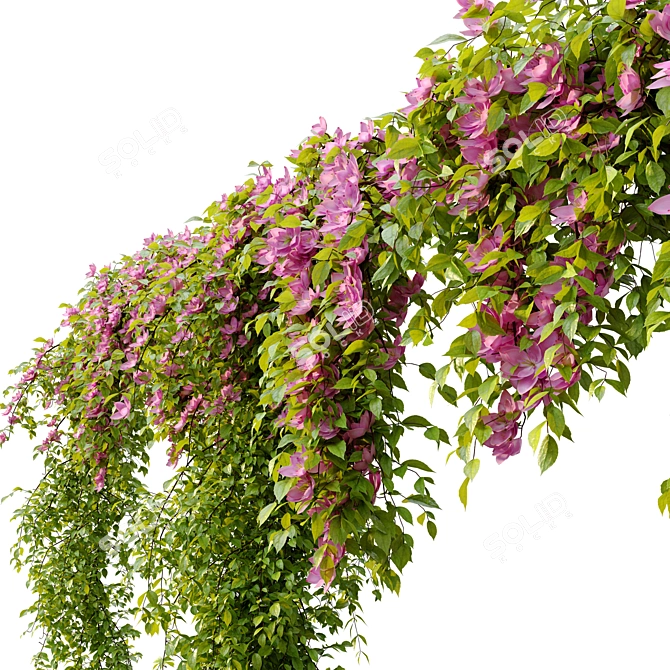 Double Hanging Plant Set 3D model image 2