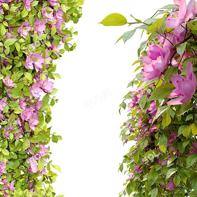 Double Hanging Plant Set 3D model image 3