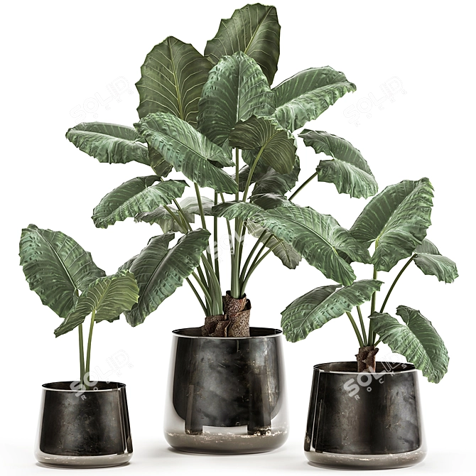 Exotic Tropical Plant Collection in Reclaimed Iron Pot 3D model image 1