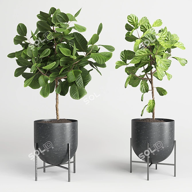 Marble Vase Collection: Indoor Plant 3D model image 3