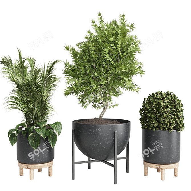 Marble Vase Collection: Indoor Plant 3D model image 4