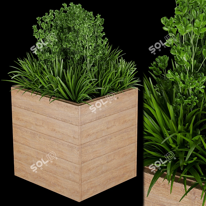 Premium Plant Collection - Vol. 134 3D model image 1