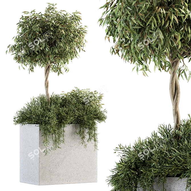 Green Oasis Outdoor Plant Set 3D model image 1