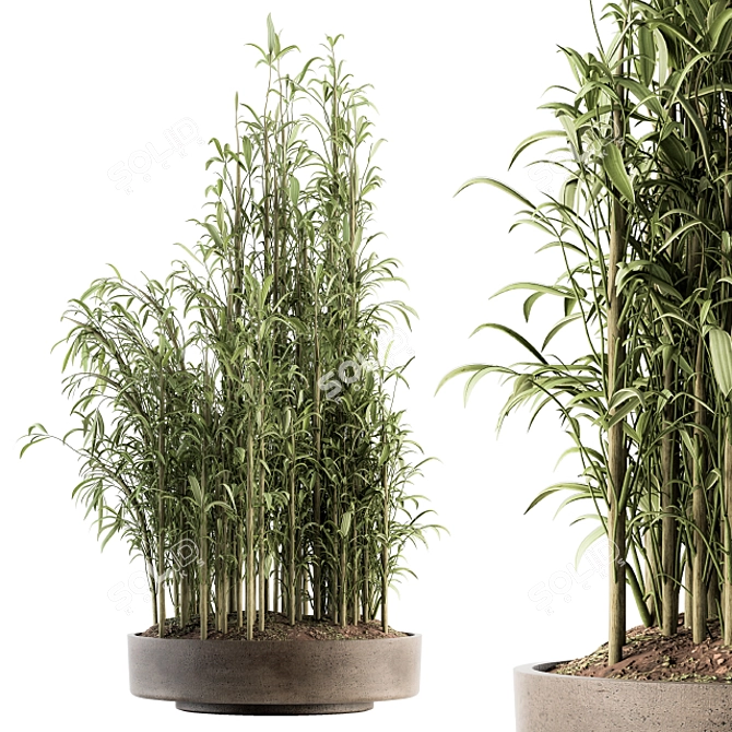 Tall Bamboo Set: Stunning Indoor Greenery! 3D model image 1