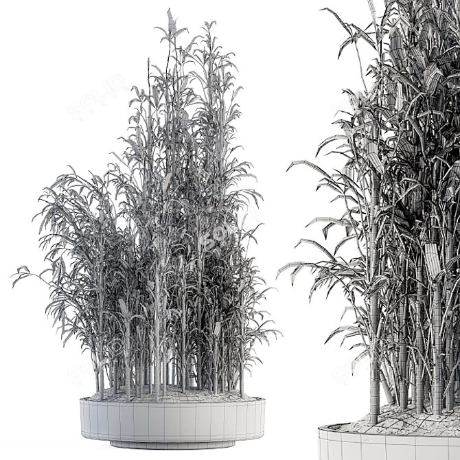 Tall Bamboo Set: Stunning Indoor Greenery! 3D model image 5