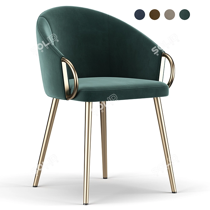 Elegant ErgoChair: Salyer 3D model image 1