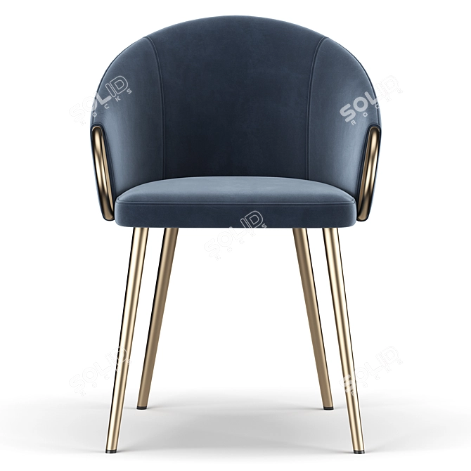 Elegant ErgoChair: Salyer 3D model image 3