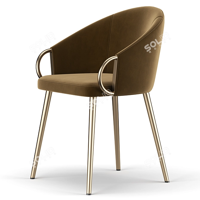 Elegant ErgoChair: Salyer 3D model image 4