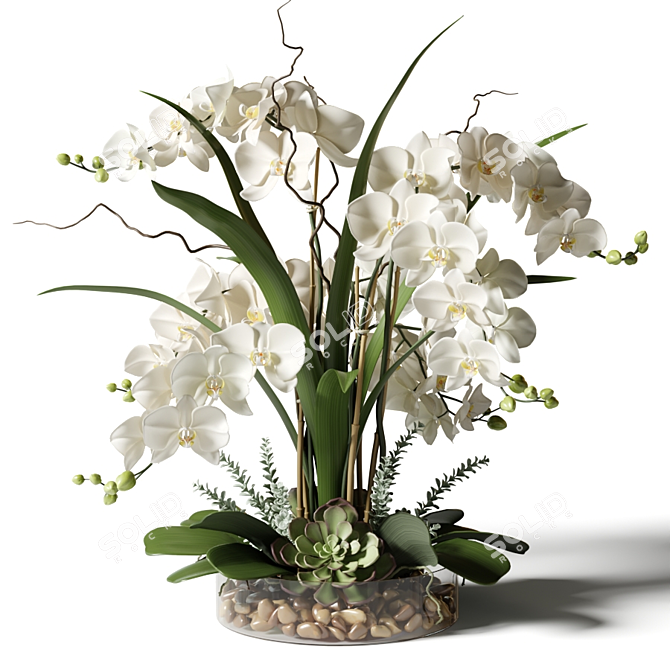 Elegant White Orchid Arrangement 3D model image 1