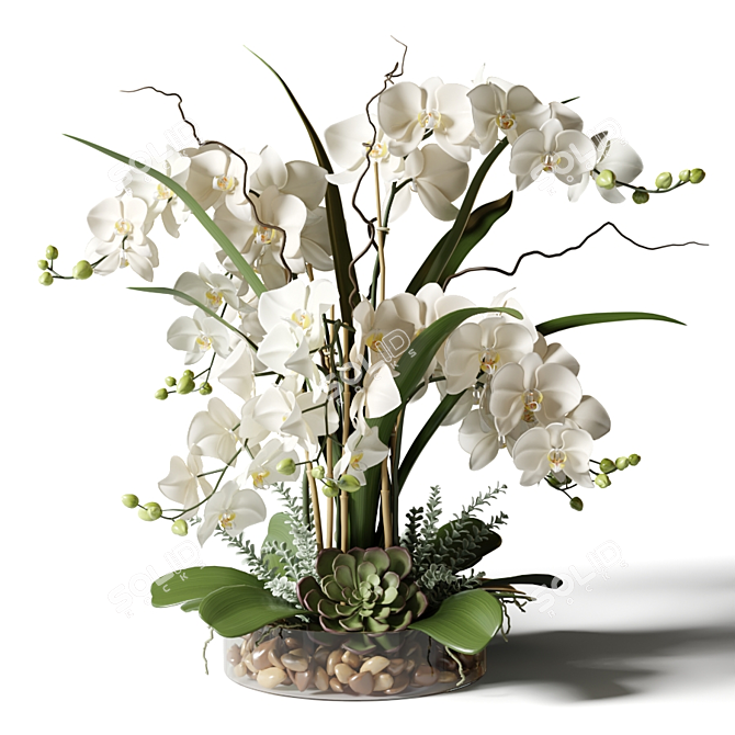 Elegant White Orchid Arrangement 3D model image 2