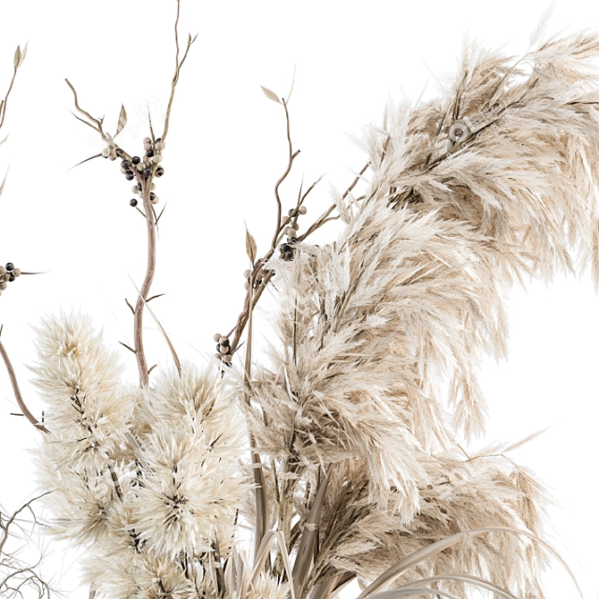 Boho Bliss: Dried Pampas Set 3D model image 2