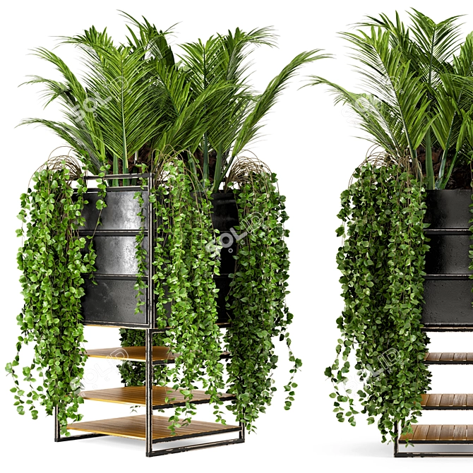 Rusty Concrete Pot Indoor Plants 3D model image 2