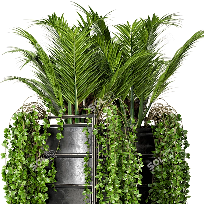 Rusty Concrete Pot Indoor Plants 3D model image 3