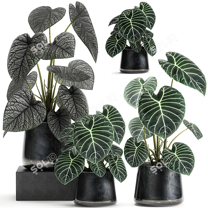 Exotic Indoor & Outdoor Plant Collection 3D model image 1